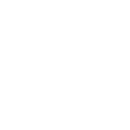 Aesthetic Esque
